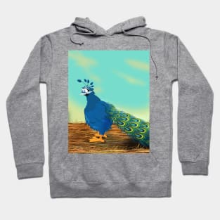 Peacock on the Farm Hoodie